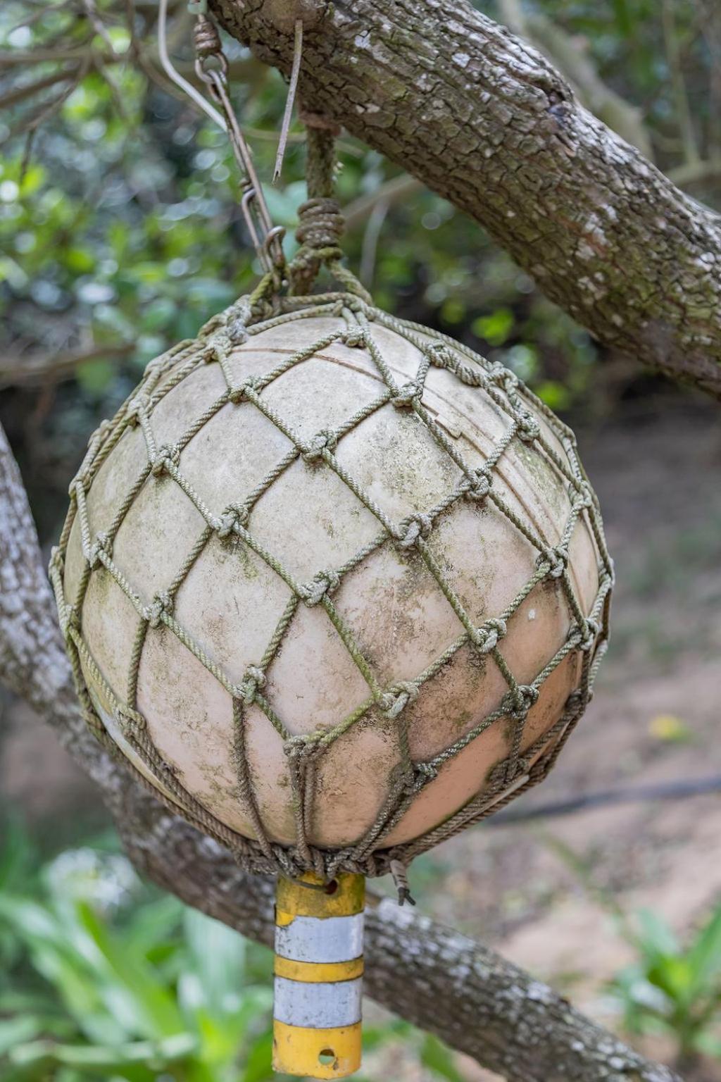 East Africa Safaris Villa Chizavane Dış mekan fotoğraf